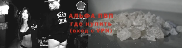 гашик Арсеньев