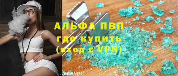 гашик Арсеньев