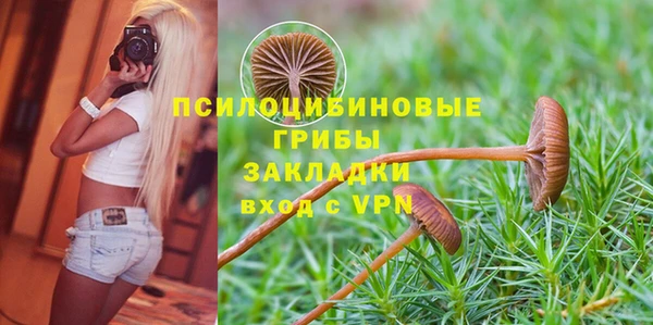 спиды Армянск